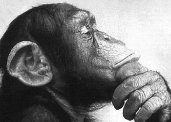 10 Things You’re Not Supposed to Know