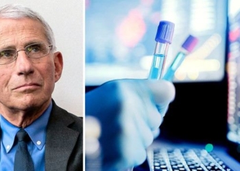Senator Asks DOJ to Investigate Fauci, WSJ Editorial Board Says Congress Must Probe Taxpayer Funding of Virus Research in Wuhan