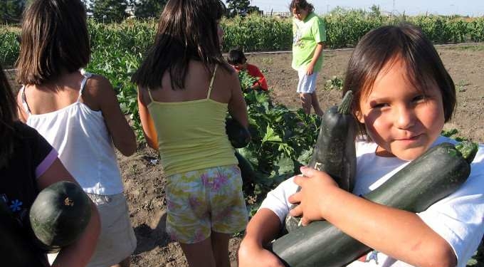 Gardening Advice from Indigenous Food Growers
