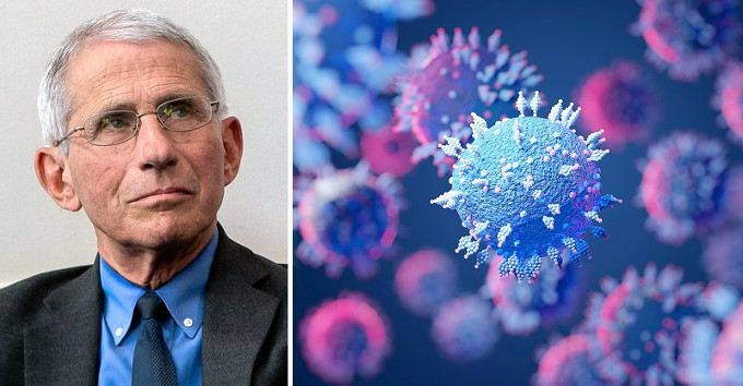 New Documents Show Fauci LIED to Congress: His Organization DID FUND Fund Gain-of-Function Research at the Wuhan Institute of Virology