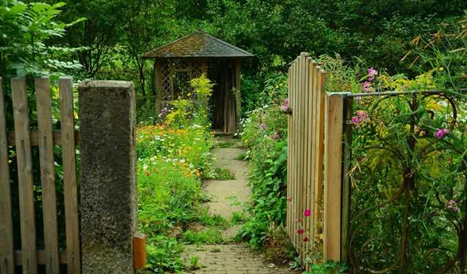 Do You Want To Improve Your Garden’s Appeal? Here’s Why a Timber Garden Shed Works Best