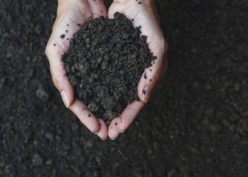 From Soil to Society: A Systems Approach to Change
