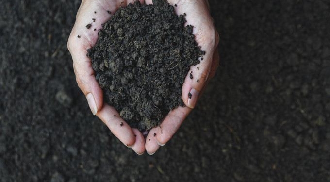 From Soil to Society: A Systems Approach to Change
