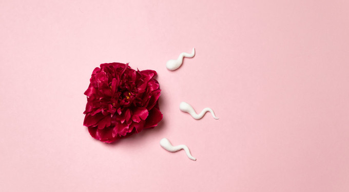 Male Fertility is Declining – Studies Show that Environmental Toxins Could Be a Reason