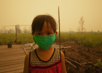 Billions of People Could Live Years Longer If Policymakers Reduce Air Pollution: Study