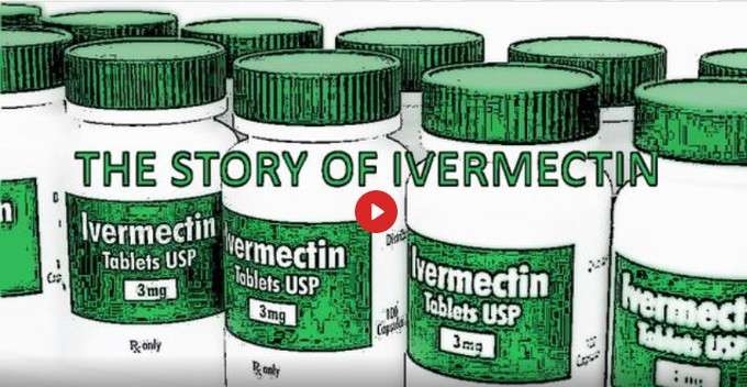 The Story of Ivermectin and COVID-19