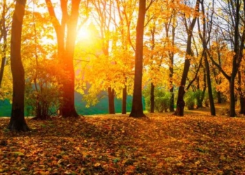 autumn