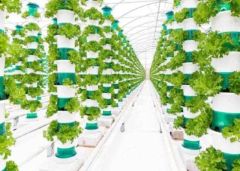 UK’s Largest Vertical Farm That Uses Only Sunlight Begins First Harvest