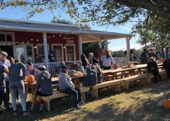 Homesteading and Intentional Community Summit Nov. 6th: How to Buy Land, Build Community, and Resist Tyranny