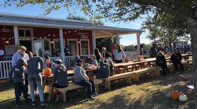 Homesteading and Intentional Community Summit Nov. 6th: How to Buy Land, Build Community, and Resist Tyranny