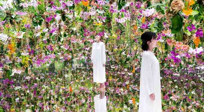 Incredibly Beautiful Floating Flower Garden is ALIVE with 13,000 Orchids that Move as You Approach (MUST WATCH)