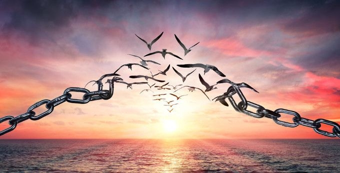 The Only Choice Left: Slavery or Freedom