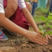 Is Your Garden Really Organic?