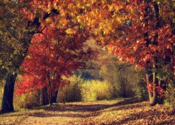 Autumn