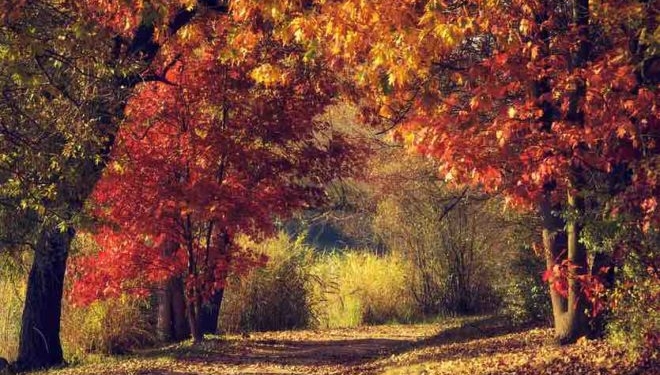 Autumn