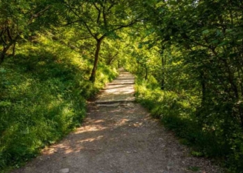 walking