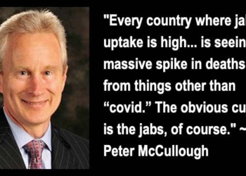 Data Show Excess Mortality All Around the World Due to Covid “Vaccines”