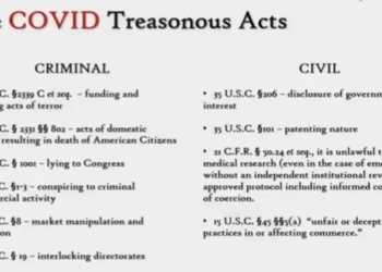 Weaponization of the Coronavirus –  Plandemic Planners and Companies Exposed | David Martin, PhD