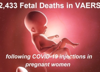 2,433 Dead Babies in VAERS as Another Study Shows mRNA Shots Not Safe for Pregnant Women
