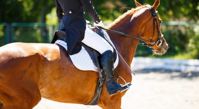 What Are Full Seat Riding Breeches?