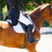 What Are Full Seat Riding Breeches?