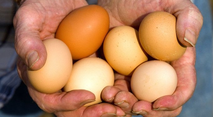The Proximity Principle – Uniting Local Farmers with Local Buyers – The Imperative of Our Time