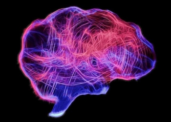 New Theory of Consciousness in Humans, Animals and Artificial Intelligence