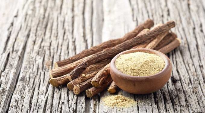 Licorice Inhibits Replication of Coronavirus by Dr. Joseph Mercola