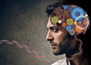 The Experience of Being ‘In the Flow’: How People Achieve The State of Brain Flow