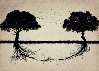Divide, Conquer; Unite, Heal | Charles Eisenstein
