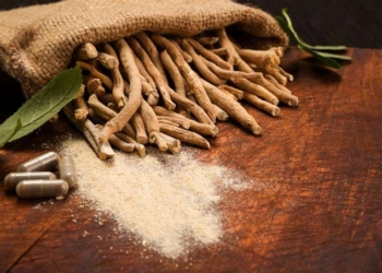 9 Reasons to Include Ashwagandha in Your Health Regimen | Dr. Joseph Mercola