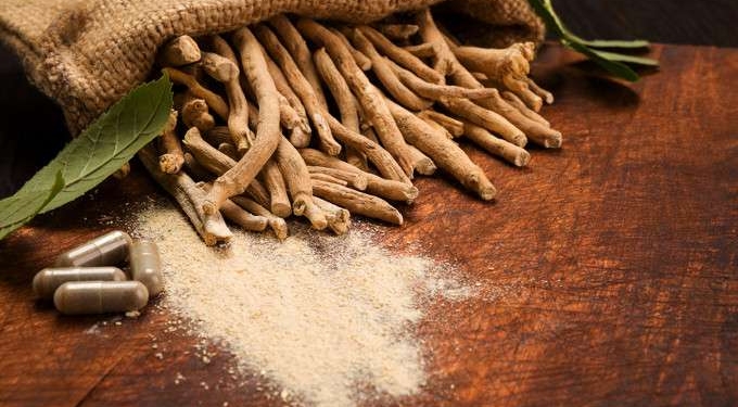 9 Reasons to Include Ashwagandha in Your Health Regimen | Dr. Joseph Mercola