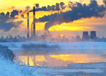 Earth on ‘Sad Trajectory Toward Sixth Mass Extinction’ Scientists Warn