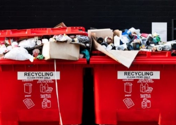 What Is Wish-Cycling? Two Waste Experts Explain