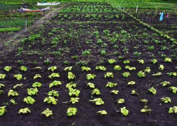 We Need to Radically Re-Imagine Our Food System. Here’s How.