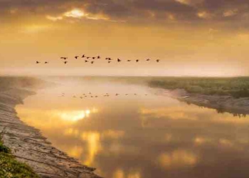 Why Do Some People Flourish and Others Diminish During Difficult Times?