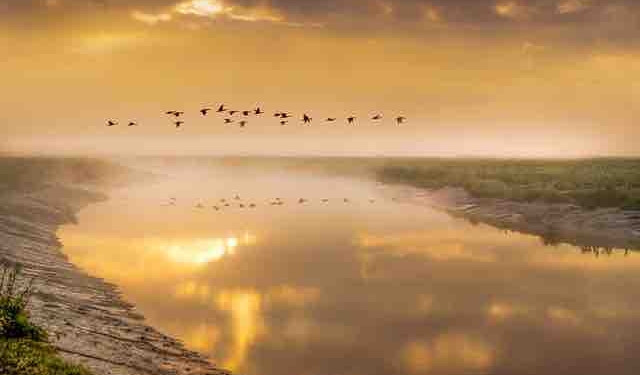 Why Do Some People Flourish and Others Diminish During Difficult Times?