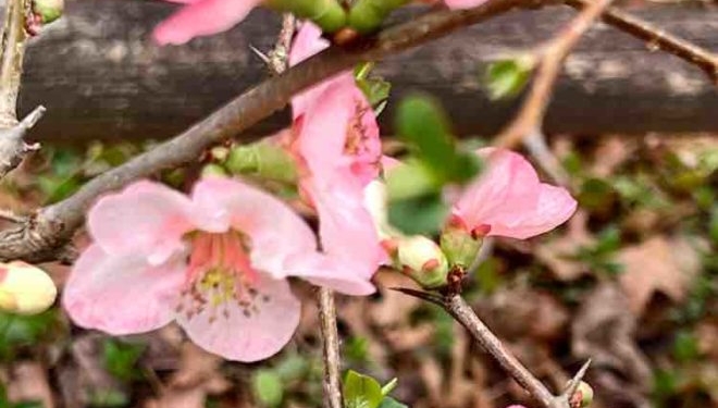 New Energy and Dark Moments – Encouragement for Both!