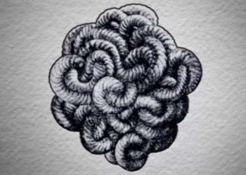 How to Solve the Gordian Knot and Save Our Country