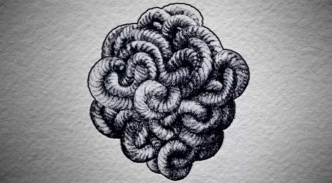 How to Solve the Gordian Knot and Save Our Country