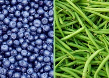 Blueberries and Green Beans Join EWG’s ‘Dirty Dozen’ List of Pesticide-Drenched Produce