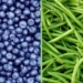 Blueberries and Green Beans Join EWG’s ‘Dirty Dozen’ List of Pesticide-Drenched Produce
