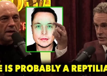 WATCH What Jordan Peterson Says About Elon Musk: “He’s probably an alien… probably a reptilian.”