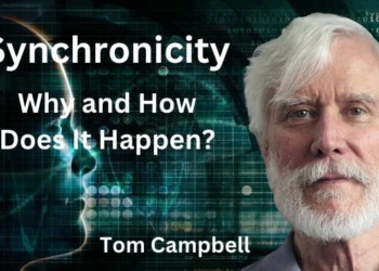 Synchronicity – Why and How Does it Happen? | Tom Campbell