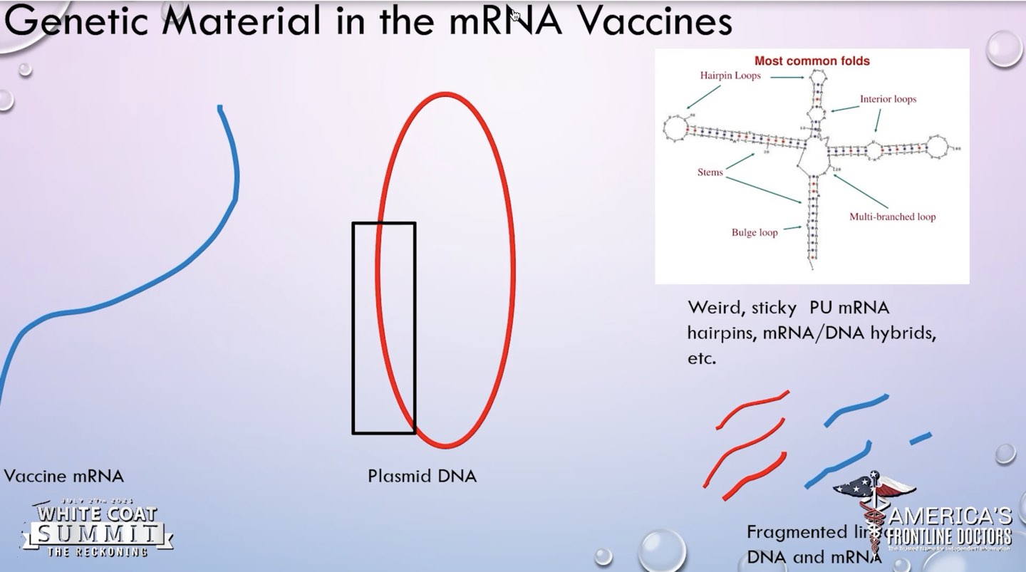Here’s What the mRNA Jab Does To the Body | Dr. Christina Parks, PhD in Cellular and Molecular Biology