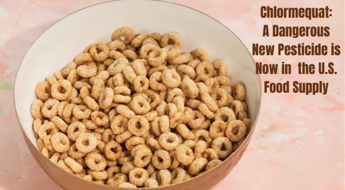 WARNING: A Dangerous New Pesticide Is Now in Popular Oat-Based Food Products & 80% of People Tested