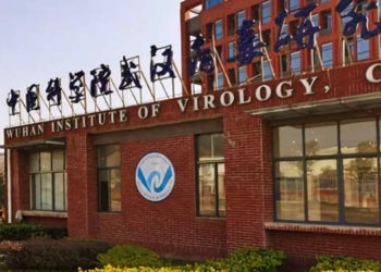 What Might the US Owe the World for Covid-19?