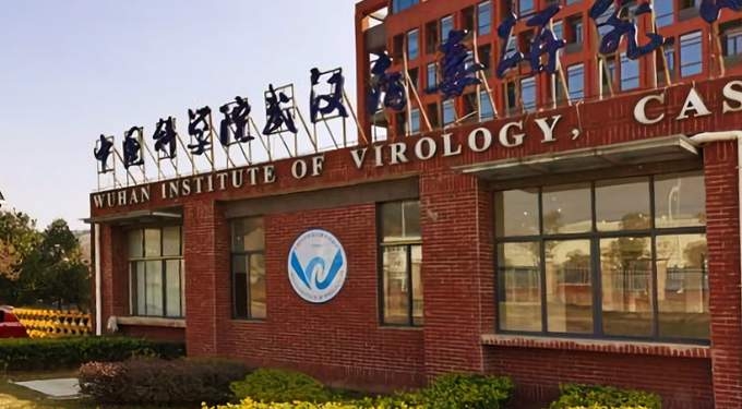 What Might the US Owe the World for Covid-19?