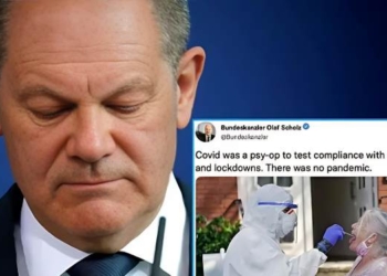 German Government Admits There Was No Pandemic