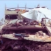 Not Taking A Position On Gaza IS Taking A Position On Gaza | Caitlin Johnstone